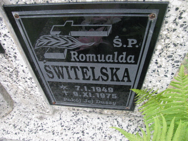 Romualda Świtelska 1949 Żary 1045 - Grobonet - Wyszukiwarka osób pochowanych